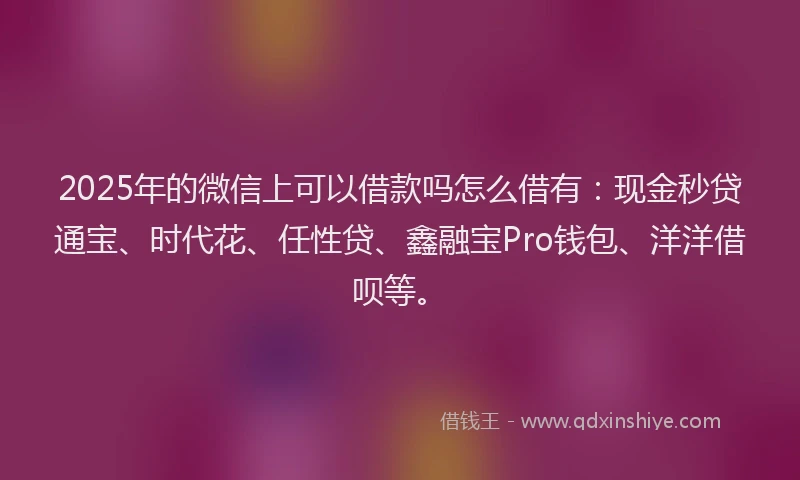 2025年的微信上可以借款吗怎么借有：现金秒贷通宝、时代花、任性贷、鑫融宝Pro钱包、洋洋借呗等。
