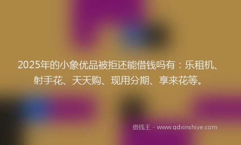 2025年的小象优品被拒还能借钱吗有：乐租机、射手花、天天购、现用分期、享来花等。