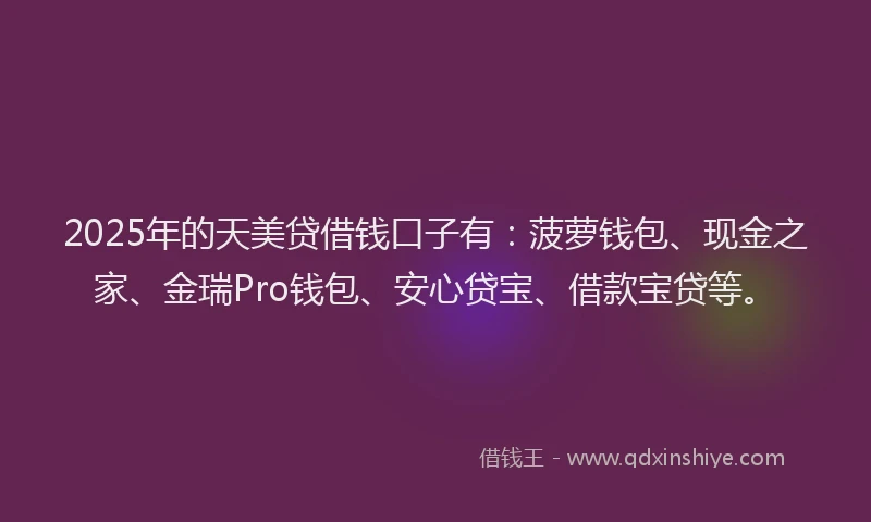 2025年的天美贷借钱口子有：菠萝钱包、现金之家、金瑞Pro钱包、安心贷宝、借款宝贷等。