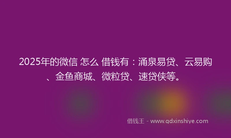 2025年的微信 怎么 借钱有：涌泉易贷、云易购、金鱼商城、微粒贷、速贷侠等。