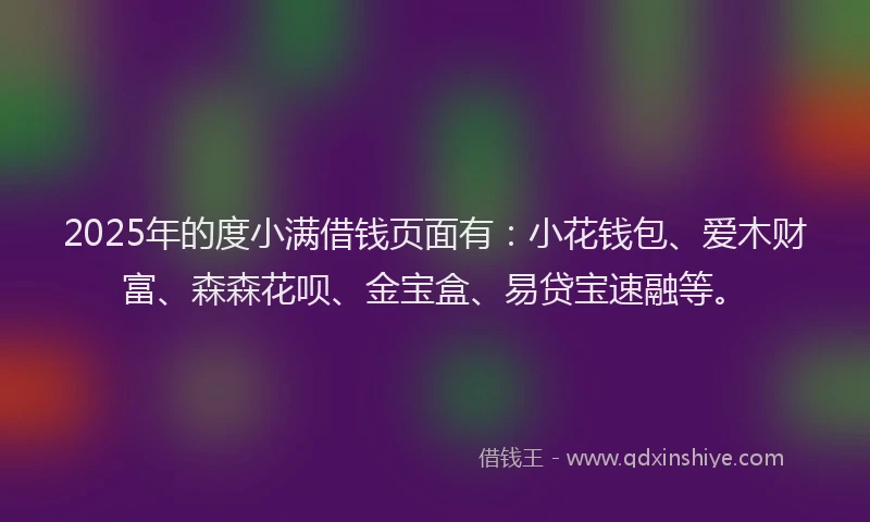 2025年的度小满借钱页面有：小花钱包、爱木财富、森森花呗、金宝盒、易贷宝速融等。