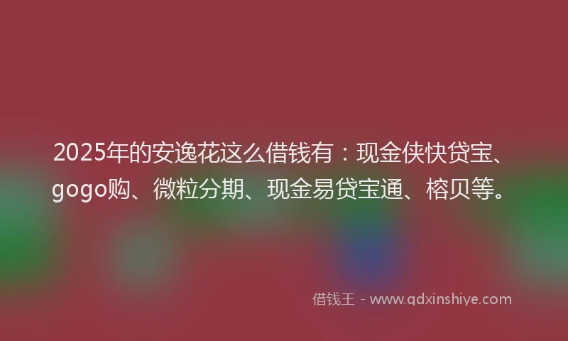 2025年的安逸花这么借钱有：现金侠快贷宝、gogo购、微粒分期、现金易贷宝通、榕贝等。