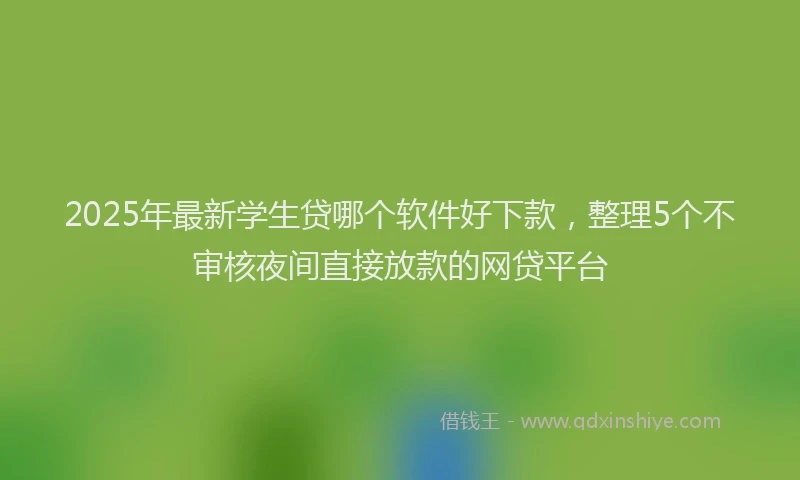 2025年最新学生贷哪个软件好下款，整理5个不审核夜间直接放款的网贷平台
