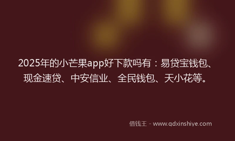 2025年的小芒果app好下款吗有：易贷宝钱包、现金速贷、中安信业、全民钱包、天小花等。