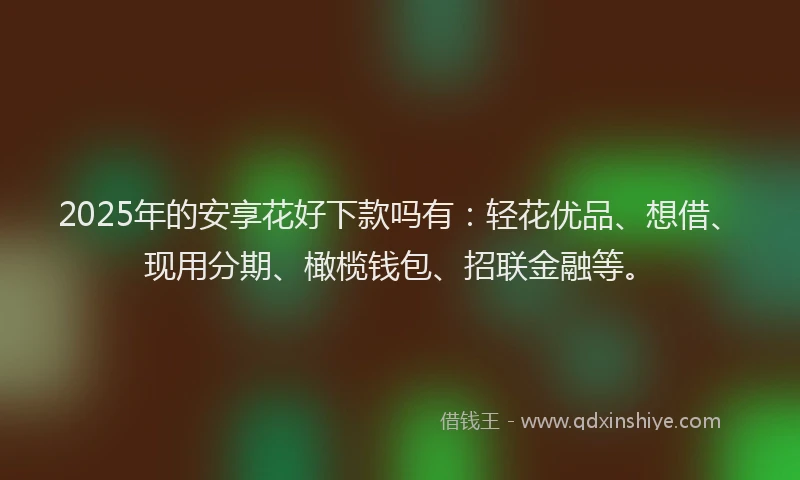 2025年的安享花好下款吗有：轻花优品、想借、现用分期、橄榄钱包、招联金融等。