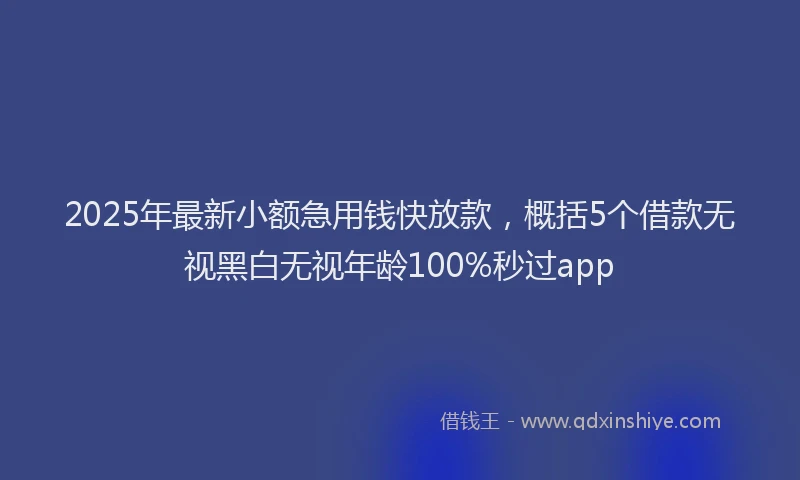 2025年最新小额急用钱快放款，概括5个借款无视黑白无视年龄100%秒过app