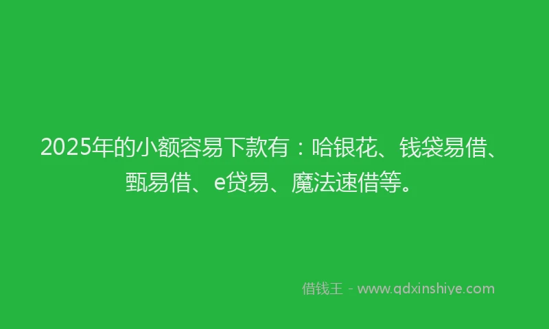 2025年的小额容易下款有：哈银花、钱袋易借、甄易借、e贷易、魔法速借等。