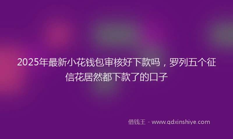 2025年最新小花钱包审核好下款吗，罗列五个征信花居然都下款了的口子