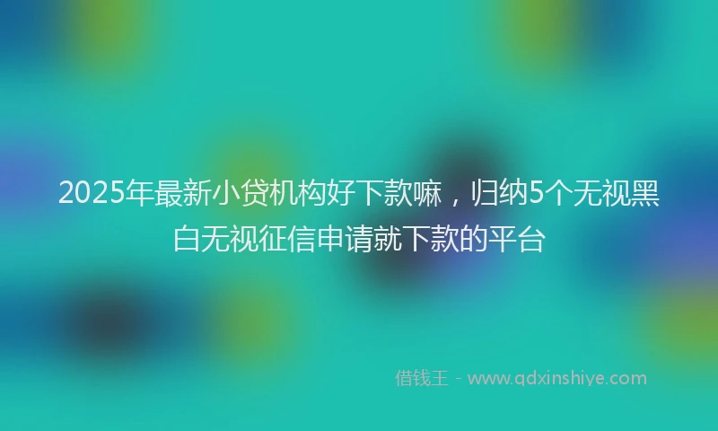 2025年最新小贷机构好下款嘛，归纳5个无视黑白无视征信申请就下款的平台