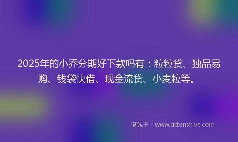 2025年的小乔分期好下款吗有：粒粒贷、独品易购、钱袋快借、现金流贷、小麦粒等。