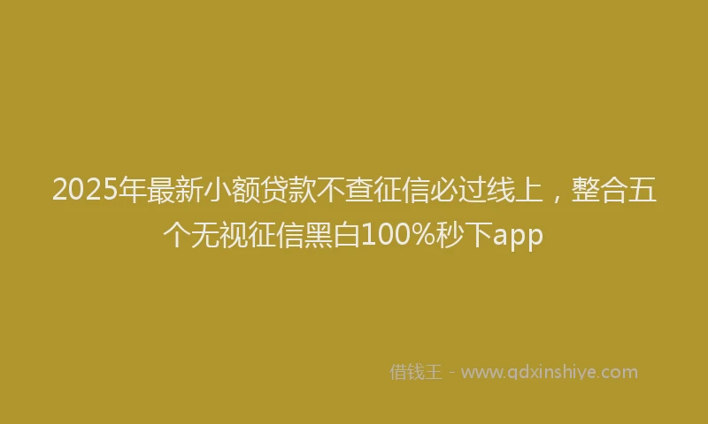 2025年最新小额贷款不查征信必过线上，整合五个无视征信黑白100%秒下app