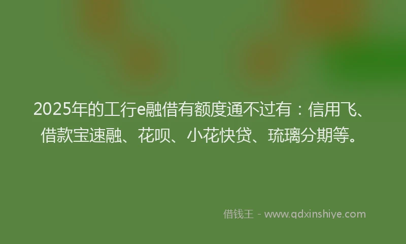 2025年的工行e融借有额度通不过有：信用飞、借款宝速融、花呗、小花快贷、琉璃分期等。