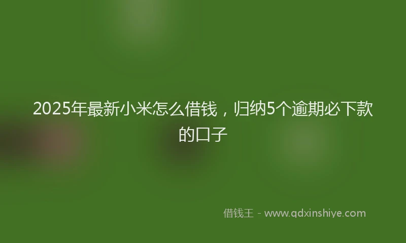 2025年最新小米怎么借钱，归纳5个逾期必下款的口子