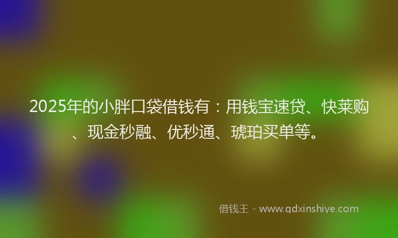 2025年的小胖口袋借钱有：用钱宝速贷、快莱购、现金秒融、优秒通、琥珀买单等。