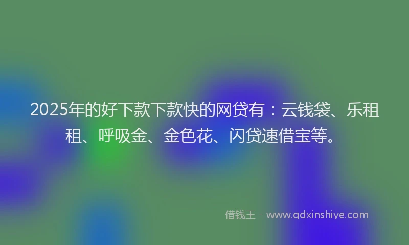 2025年的好下款下款快的网贷有：云钱袋、乐租租、呼吸金、金色花、闪贷速借宝等。