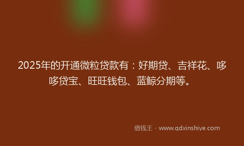 2025年的开通微粒贷款有：好期贷、吉祥花、哆哆贷宝、旺旺钱包、蓝鲸分期等。