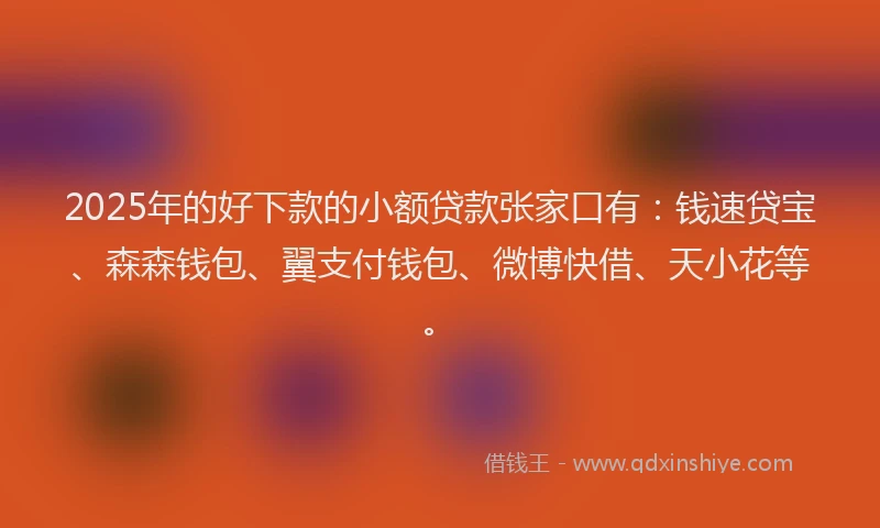 2025年的好下款的小额贷款张家口有：钱速贷宝、森森钱包、翼支付钱包、微博快借、天小花等。