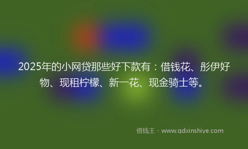 2025年的小网贷那些好下款有：借钱花、彤伊好物、现租柠檬、新一花、现金骑士等。