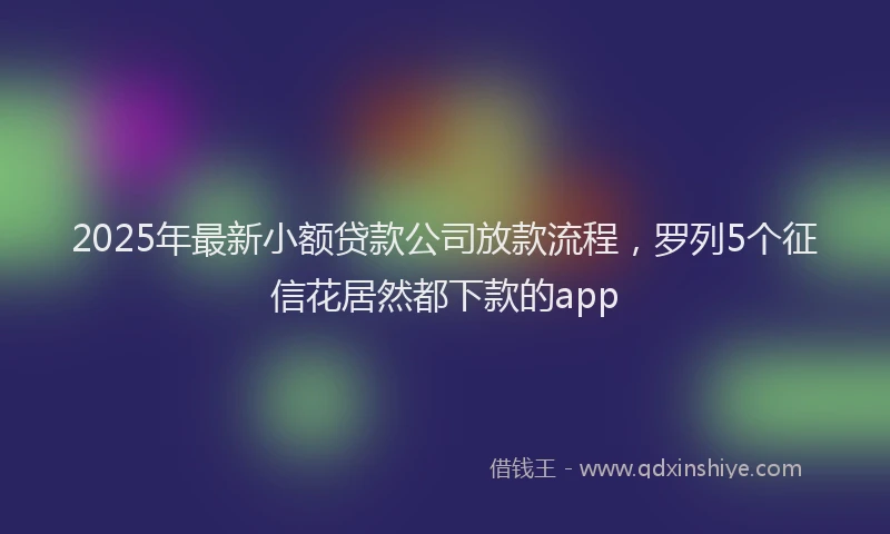 2025年最新小额贷款公司放款流程，罗列5个征信花居然都下款的app