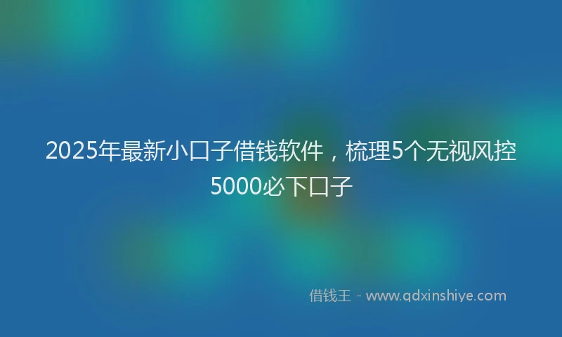 2025年最新小口子借钱软件，梳理5个无视风控5000必下口子