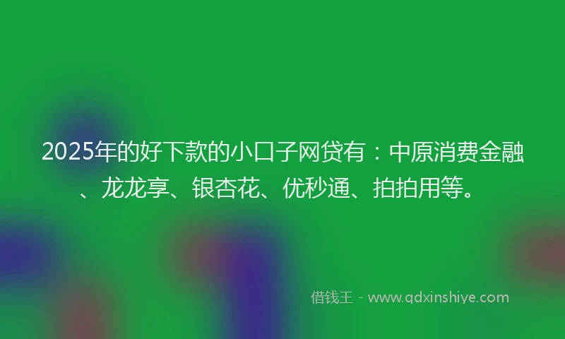 2025年的好下款的小口子网贷有：中原消费金融、龙龙享、银杏花、优秒通、拍拍用等。