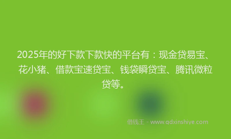 2025年的好下款下款快的平台有：现金贷易宝、花小猪、借款宝速贷宝、钱袋瞬贷宝、腾讯微粒贷等。