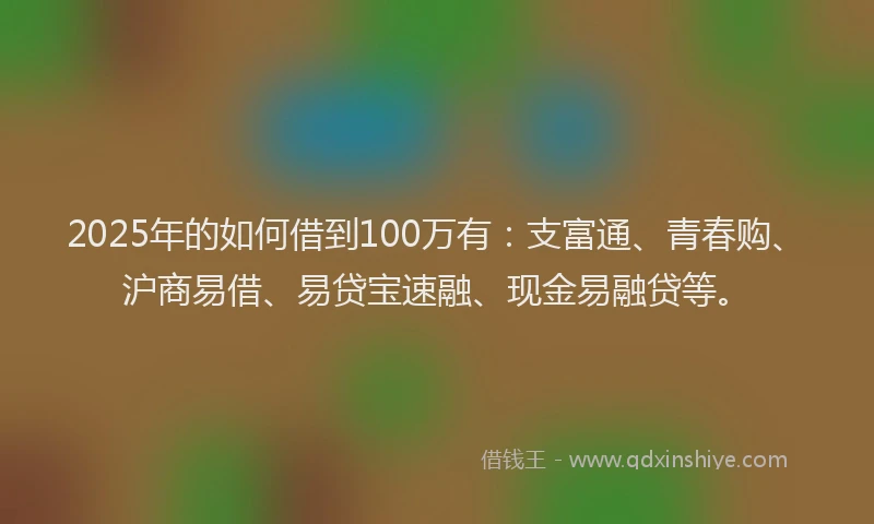 2025年的如何借到100万有：支富通、青春购、沪商易借、易贷宝速融、现金易融贷等。