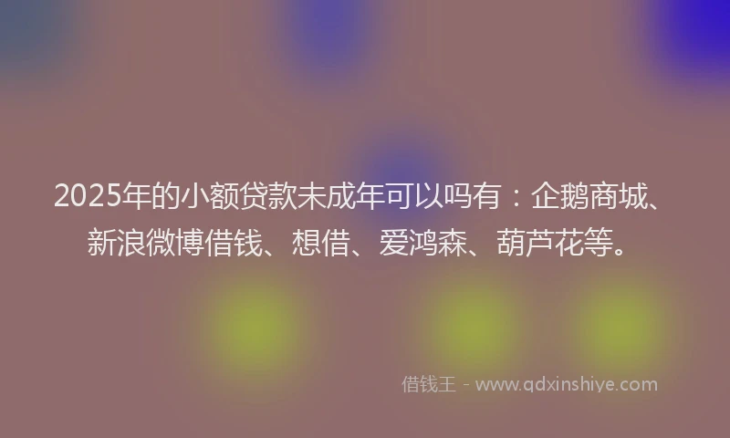 2025年的小额贷款未成年可以吗有：企鹅商城、新浪微博借钱、想借、爱鸿森、葫芦花等。
