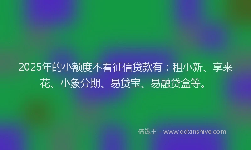 2025年的小额度不看征信贷款有：租小新、享来花、小象分期、易贷宝、易融贷盒等。