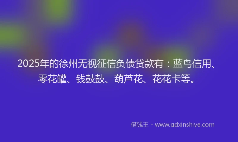 2025年的徐州无视征信负债贷款有：蓝鸟信用、零花罐、钱鼓鼓、葫芦花、花花卡等。