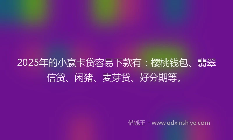 2025年的小赢卡贷容易下款有：樱桃钱包、翡翠信贷、闲猪、麦芽贷、好分期等。