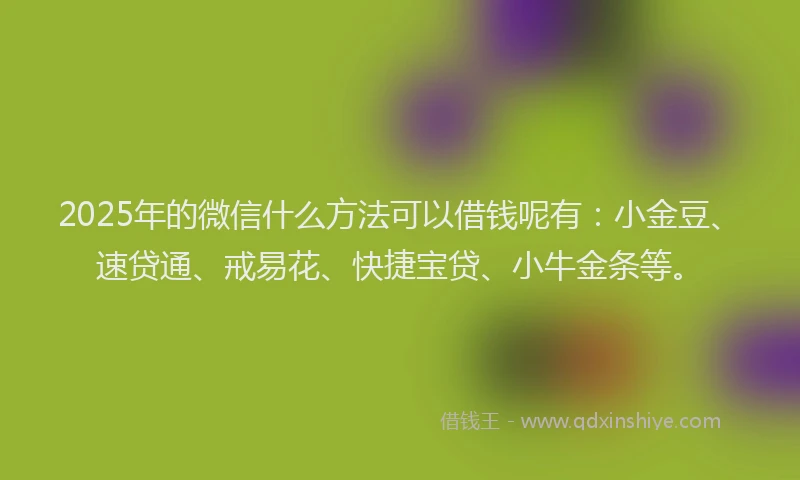 2025年的微信什么方法可以借钱呢有：小金豆、速贷通、戒易花、快捷宝贷、小牛金条等。