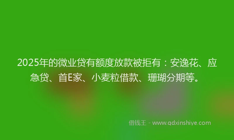 2025年的微业贷有额度放款被拒有：安逸花、应急贷、首E家、小麦粒借款、珊瑚分期等。