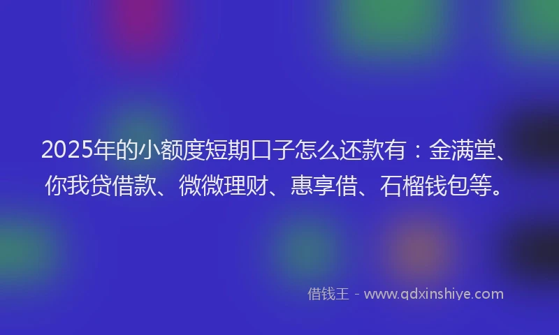 2025年的小额度短期口子怎么还款有：金满堂、你我贷借款、微微理财、惠享借、石榴钱包等。