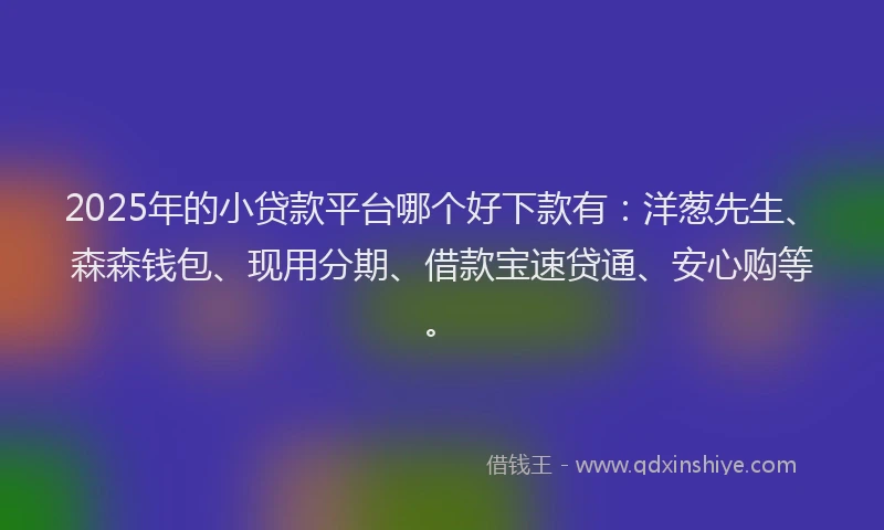 2025年的小贷款平台哪个好下款有：洋葱先生、森森钱包、现用分期、借款宝速贷通、安心购等。