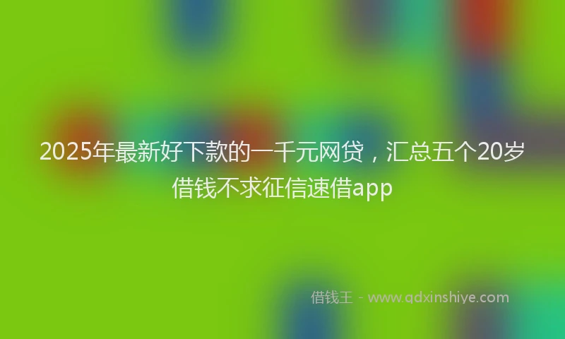 2025年最新好下款的一千元网贷，汇总五个20岁借钱不求征信速借app