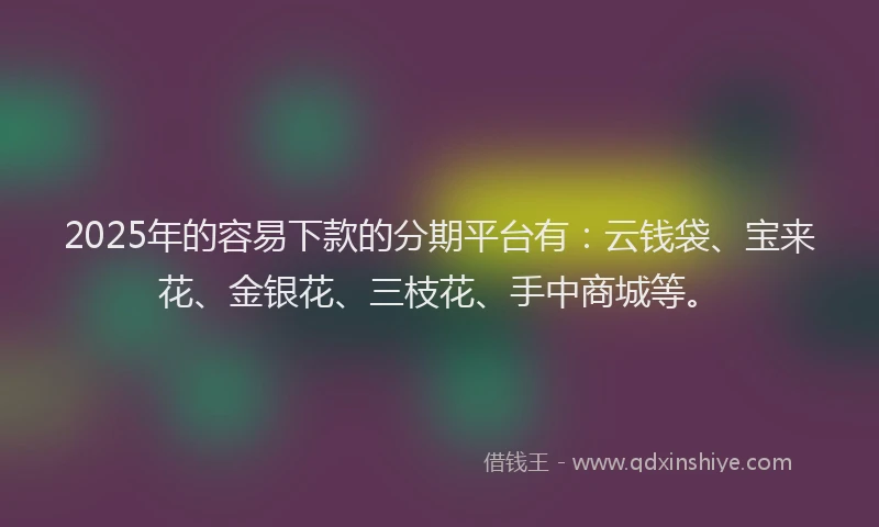 2025年的容易下款的分期平台有：云钱袋、宝来花、金银花、三枝花、手中商城等。