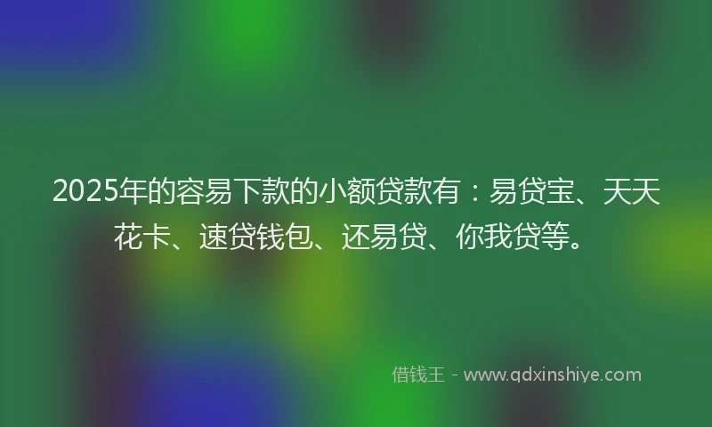 2025年的容易下款的小额贷款有：易贷宝、天天花卡、速贷钱包、还易贷、你我贷等。