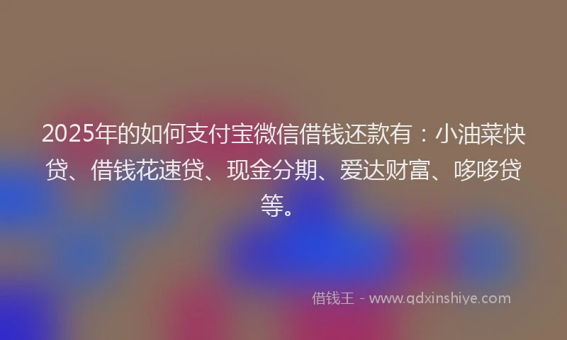 2025年的如何支付宝微信借钱还款有：小油菜快贷、借钱花速贷、现金分期、爱达财富、哆哆贷等。