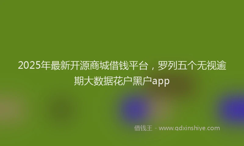 2025年最新开源商城借钱平台，罗列五个无视逾期大数据花户黑户app