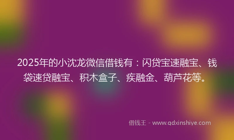 2025年的小沈龙微信借钱有：闪贷宝速融宝、钱袋速贷融宝、积木盒子、疾融金、葫芦花等。
