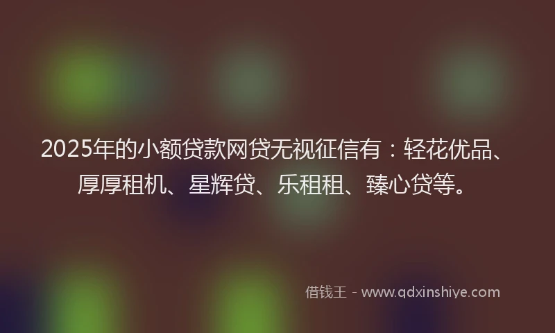 2025年的小额贷款网贷无视征信有：轻花优品、厚厚租机、星辉贷、乐租租、臻心贷等。