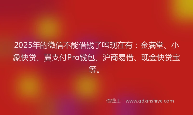 2025年的微信不能借钱了吗现在有：金满堂、小象快贷、翼支付Pro钱包、沪商易借、现金快贷宝等。