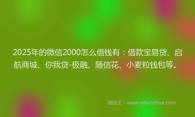 2025年的微信2000怎么借钱有：借款宝易贷、启航商城、你我贷-极融、随信花、小麦粒钱包等。