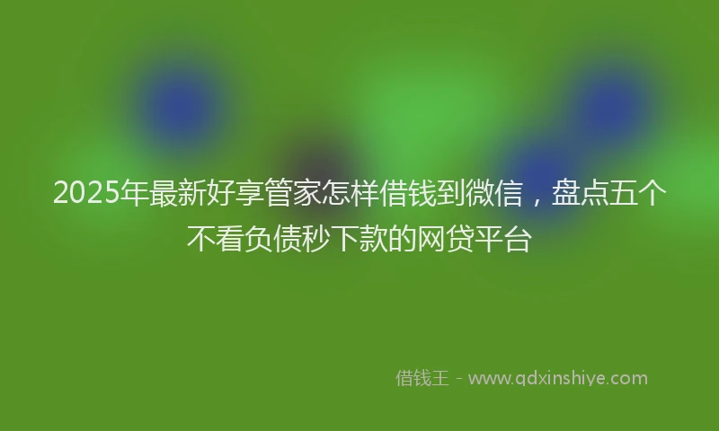 2025年最新好享管家怎样借钱到微信，盘点五个不看负债秒下款的网贷平台