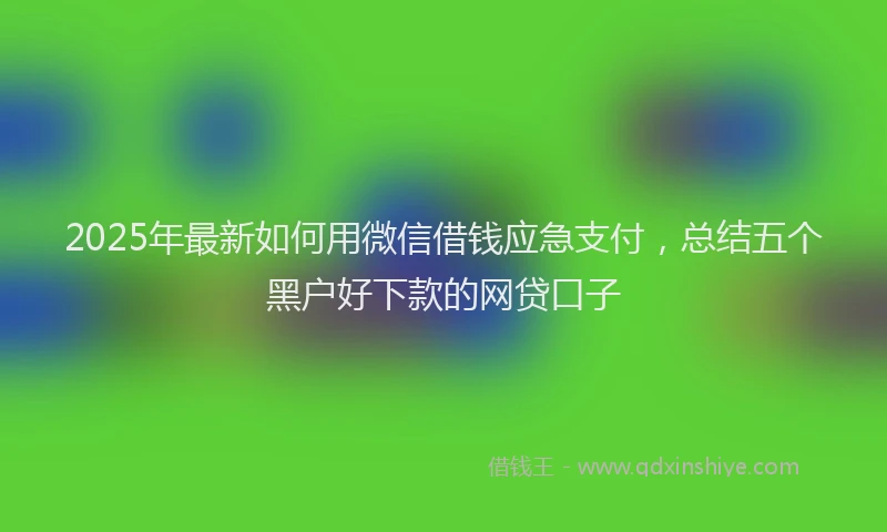2025年最新如何用微信借钱应急支付，总结五个黑户好下款的网贷口子