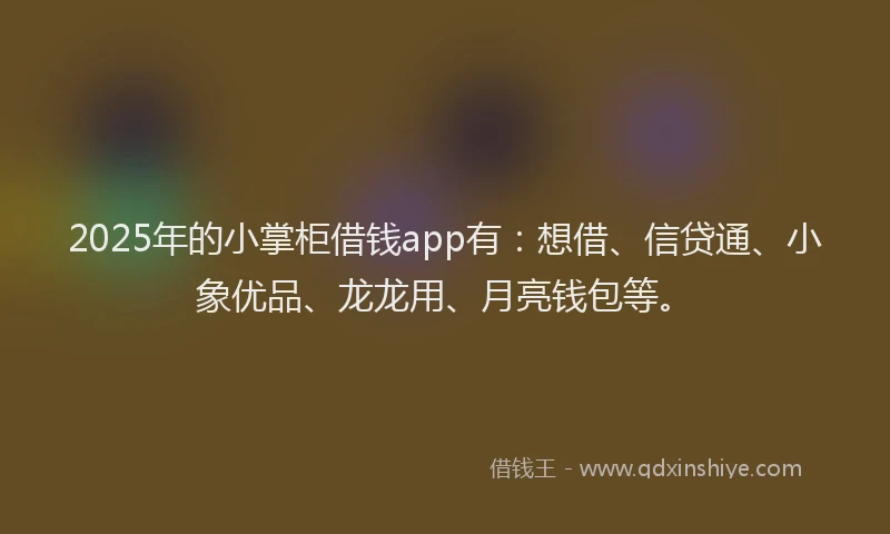 2025年的小掌柜借钱app有：想借、信贷通、小象优品、龙龙用、月亮钱包等。