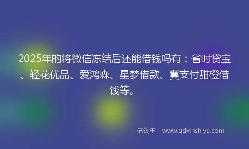 2025年的将微信冻结后还能借钱吗有：省时贷宝、轻花优品、爱鸿森、星梦借款、翼支付甜橙借钱等。
