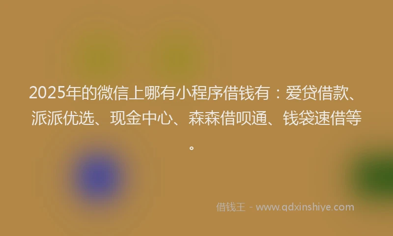 2025年的微信上哪有小程序借钱有：爱贷借款、派派优选、现金中心、森森借呗通、钱袋速借等。