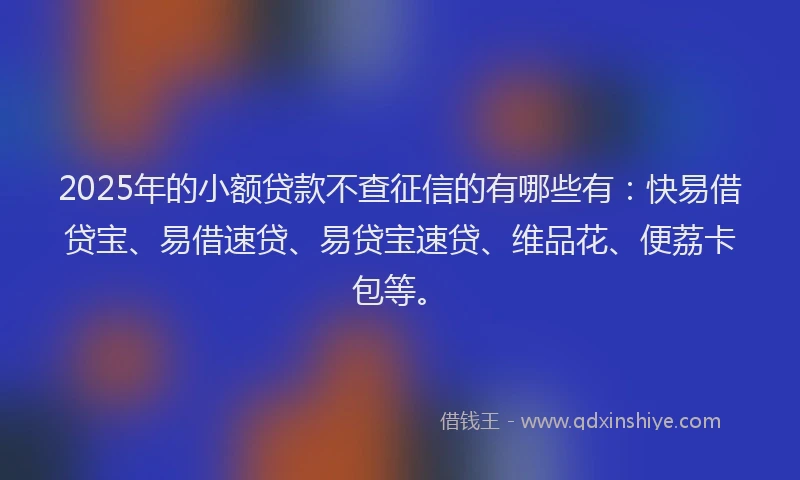 2025年的小额贷款不查征信的有哪些有：快易借贷宝、易借速贷、易贷宝速贷、维品花、便荔卡包等。